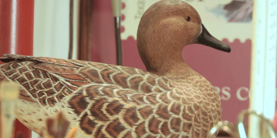 Decoys: A Duckumentary