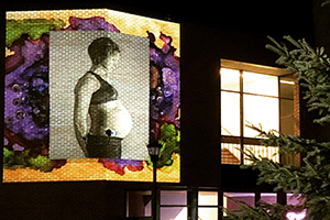 ART100 Exterior Projection